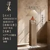 Lámpara de pie estilo wabi-sabi, sala de estar retro, dormitorio, lámpara de arte al lado del sofá, sala de té, iluminación ambiental de diseñador de mediados de siglo, hierro