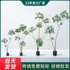 Fabricantes de origen Haihong al por mayor pie de pato verde simulación madera árbol falso planta simulación adornos de decoración de interiores al por mayor