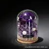 Flor Eterna Mini Cúpula de Cristal Rosa Caja de Regalo Día de la Madre Día de San Valentín 520 Festival Qixi Navidad Regalo Creativo