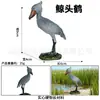 Brinquedo modelo de animal pássaro simulação pássaro papagaio Águia avestruz Pavão Flamingo pombo Martim-pescador pequenos enfeites