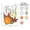 Kit de Material de Flores Secas DIY Flor Eterna Pedaços de Flores Prensadas Marcador de Página de Resina Artesanal Luminária de Mesa com Flores Naturais Espécime de Folha Flor de Cerejeira