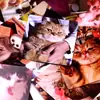 Cartões de Animal de Estimação Personalizados Cartas de Baralho Periféricas Comemorativas Álbum de Fotos de Gato Animal Macio Fofo Cartões de Gato Personalizados