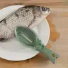 Raspador de escamas de peixe com tampa transparente/Raspador de escamas de peixe com tampa/Plaina raspadora de escamas de peixe