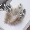 80 Tipos de Penas Naturais de Faisão, Penas Reais, Decorações Nativas Americanas, Acessórios DIY, Acessórios de Cabelo, Peças para Brinquedo de Vara para Gato