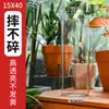 Vaso de Acrílico Inquebrável Ornamento para Sala de Estar, Recipiente Hidropônico Transparente de Bambu, Balde de Flores de Luxo Leve de Alta Qualidade
