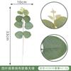 Planta de simulação Yaoyuan flor de eucalipto única acessórios de arte material de micro correspondência flor de simulação chestriana