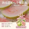 Hojas Aromáticas de Aceite Esencial Zhanjia para Armario y Closet, Aroma Colgante para Dormitorio del Hogar, Ambientador para Coche, Aroma de Larga Duración