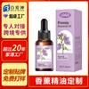 Aceites Esenciales de Aromaterapia Personalizados, Aceites Esenciales de Plantas Aromáticas, Botellas con Gotero de Comercio Exterior Transfronterizo, Aceites Esenciales para Aire Fresco, Procesamiento de Fabricante