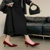 Zapatos de Mujer de Nuevo Estilo Otoño e Invierno 2025 con Tacón Medio-Bajo, Elegantes y a la Moda Estilo Europeo y Americano, Zapatos de Salón de Gamuza con Punta Fina y Tacón Bajo