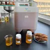 Extracto de Ginseng Líquido, Extracto de Ginseng 2000 ppm de Ginsenósidos, Materia Prima Cosmética, en Stock con Envío Gratis