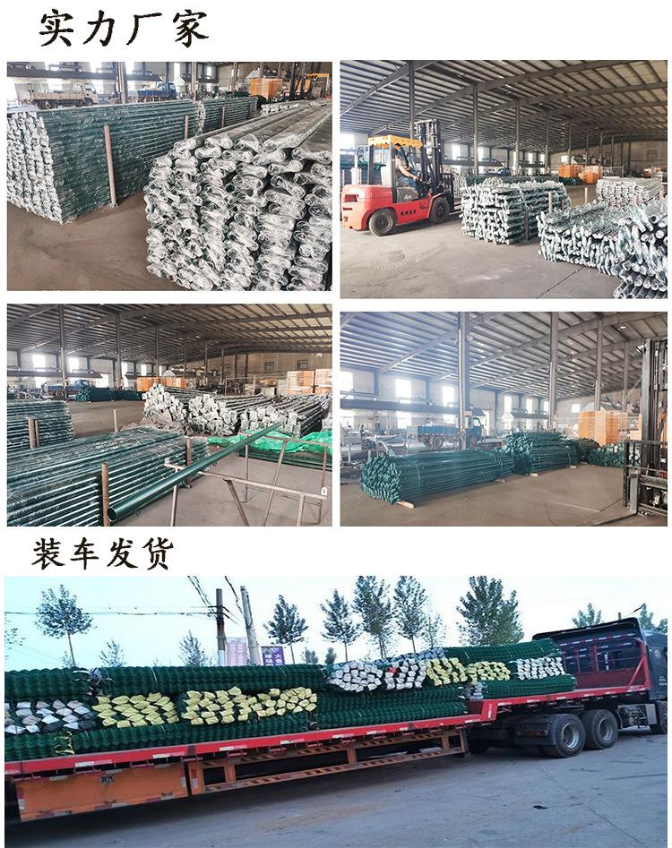 O1CN01pqfBUR1T3M4A4PppB_!!2924