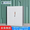 Gabinete de Archivo de Piso de Oficina de Fábrica Gabinete de Hierro Borde Estrecho Gabinete de Archivo de Datos de Comprobante con Cajón con Cerradura Gabinete Bajo Blanco Ninguno
