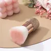 Ferramentas de unha única de alta qualidade multi-funcionais para unhas de diamante transfronteiriças, escova de pó de poeira de unha para limpeza de unhas