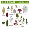 Hoja Verde de Otoño Espécimen Resina Planta Flores Prensadas Hojas Reales Marco de Hoja Natural Pegatinas para Jardín de Infancia