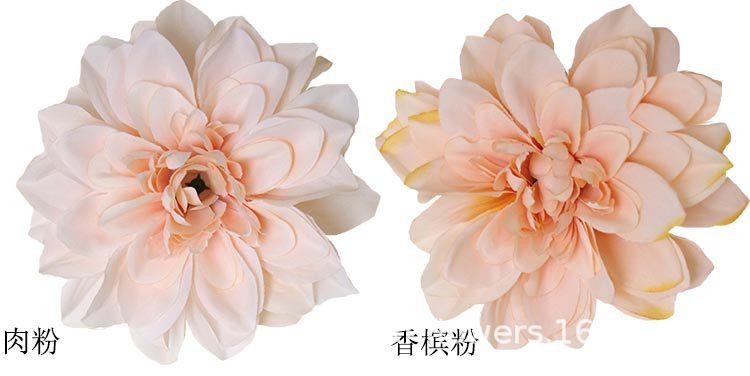 大丽菊花头_10.jpg