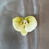 Filme de Simulação para Impressão 3D Cabeça de Flor Phalaenopsis Cartão de Cabelo da Moda Rede Presente de Acompanhamento de Casamento Caixa de Doces Flor Artificial Decorativa Feita à Mão
