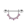 Anillos para Pezón Europeos y Americanos Transfronterizos de Acero Inoxidable 316L con Diseño de Goteo de Aceite, Barras Rectas con Forma de Corazón y Mariposa para Piercing Corporal