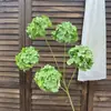 5 Hortênsias Pequenas, Hortênsias Simuladas, Flores de Casamento, Arranjos de Cena, Decoração de Casa, Atacado Transfronteiriço de Exportação Flores de Seda