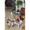 Silla de ruedas para perros y gatos grandes y pequeños, Soporte universal para patas traseras, Cochecito para mascotas para extremidades posteriores, Rehabilitación auxiliar para perros discapacitados, Ayuda para el ejercicio