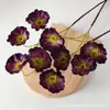 Flores de Amapola Artificiales Simuladas de 3 Cabezas, Adornos de Flores Artificiales de Alta Gama, Ramos para Sala de Estar, Decoraciones para Mesa de Comedor, Adornos de Boda, Fotografía