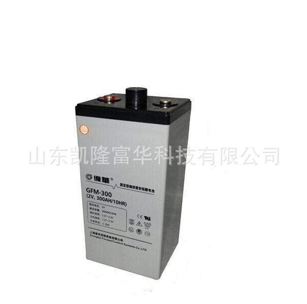 GFM-300