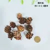 Kit de Materiales para Corona DIY de Flores Secas Accesorios Piña Cono Bosque Estilo Ramo Jardín de Infancia Hecho a Mano Corona de Vid