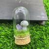 Exhibición de vidrio con micropaisaje de hongos en una variedad de materiales opcionales