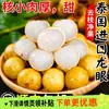 Longan Tailandês Grande Frutas Frescas Importadas 2,5kg - Fruta Doce Sazonal Recém-colhida, Caixa Completa Atacado com Frete Grátis