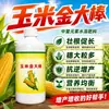 Maíz Dorado Palo Anti-acame Promotor de Raíces Resistencia a Enfermedades Alto Rendimiento Fertilizante Foliar Específico para Maíz Fertilizante Soluble en Agua Promueve Maduración Temprana Resistencia a Sequía e Inundación