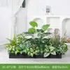 [Serie Hc-Ap7] Planta de Decoración con Flores Artificiales Separación de Plantas Canaleta de Flores Combinación de Paisaje Paisajismo Biónico Decoración de Interiores
