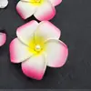 Grampo de Cabelo/Adorno de Cabeça Flor Plumeria Colorida Simulada, Itens em Estoque Transfronteiriços 4-11cm, Adequado para Férias na Praia à Beira-Mar e Estilo Étnico Dai