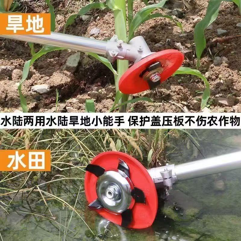 微信图片_20240822092740