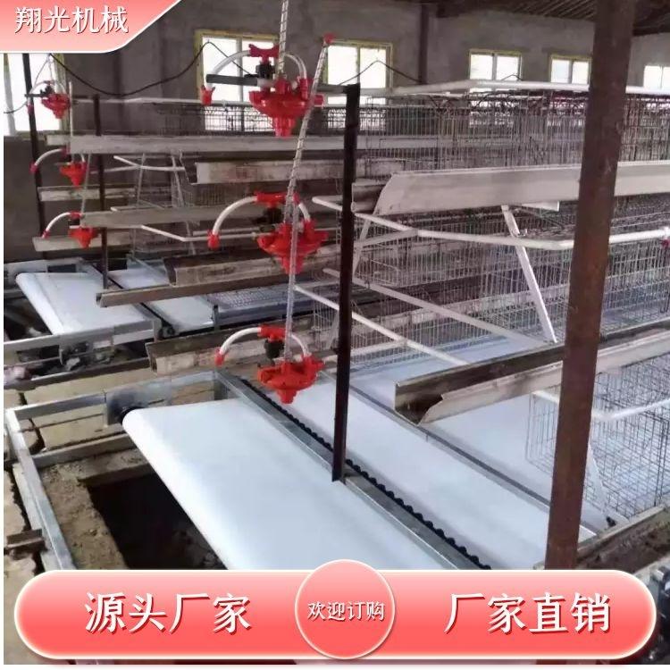 粪带 (2)