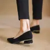 Sapatos de Salto Baixo Femininos Versátil Não Cansa os Pés Moda Bico Fino Profissional Preto Salto Alto Feminino Vestido Sapatos Femininos