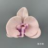 Flor de Falenopsis de simulación cabeza de flor flor de seda diámetro 11cm flor artificial diy tocado flor flor de paisaje pared de flores forma flor arte