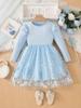 Vestido de Princesa de Comercio Exterior Personalizado para Niñas, Vestido de Manga Larga, Nuevo Estilo Otoño 2026, Vestido de Tul Abullonado para Niña Pequeña