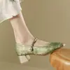 Zapatos Mary Jane de Tacón Grueso con Velcro Estilo Chino 2026 Otoño Nuevos de Punta Cuadrada Bajos Delicados de Moda Antideslizantes Zapatos de Vestir para Mujer