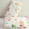 Fronha Pequena de Seda de Gelo para Crianças, Fronha Refrescante de Verão 30X50, Fronha para Travesseiro de Espuma de Memória de Látex 40X60, Ajuste Universal