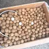 Lichias Secas ao Sol com Casca, Pacotes a Granel de 0,5 kg, Safra Nova 2026 de Gaozhou, Guangdong, Frutas Extra Grandes, Lichias Premium