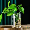 Florero Recto de Vidrio de Alto Borosilicato, Tanque de Peces para Plantas Verdes, Recipiente para Arreglos Florales, Maceta de Paisaje Hidropónico, Adorno de Vidrio