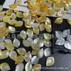 8*12mm Branco Natural, Amarelo e Preto Furo Horizontal Concha Borboleta Narciso Pétalas Estéreo Flor de Concha Esculpida Acessórios para Joias DIY