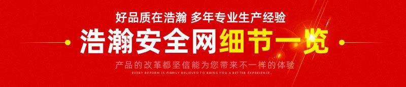 浩瀚详情安全网新_05