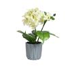 Hortênsia Grande Bonsai Flores Artificiais de Alta Qualidade Decoração de Interior Criativa Plantio Verde Fábrica da Amazon Flores Artificiais em Vasos Flores Falsas