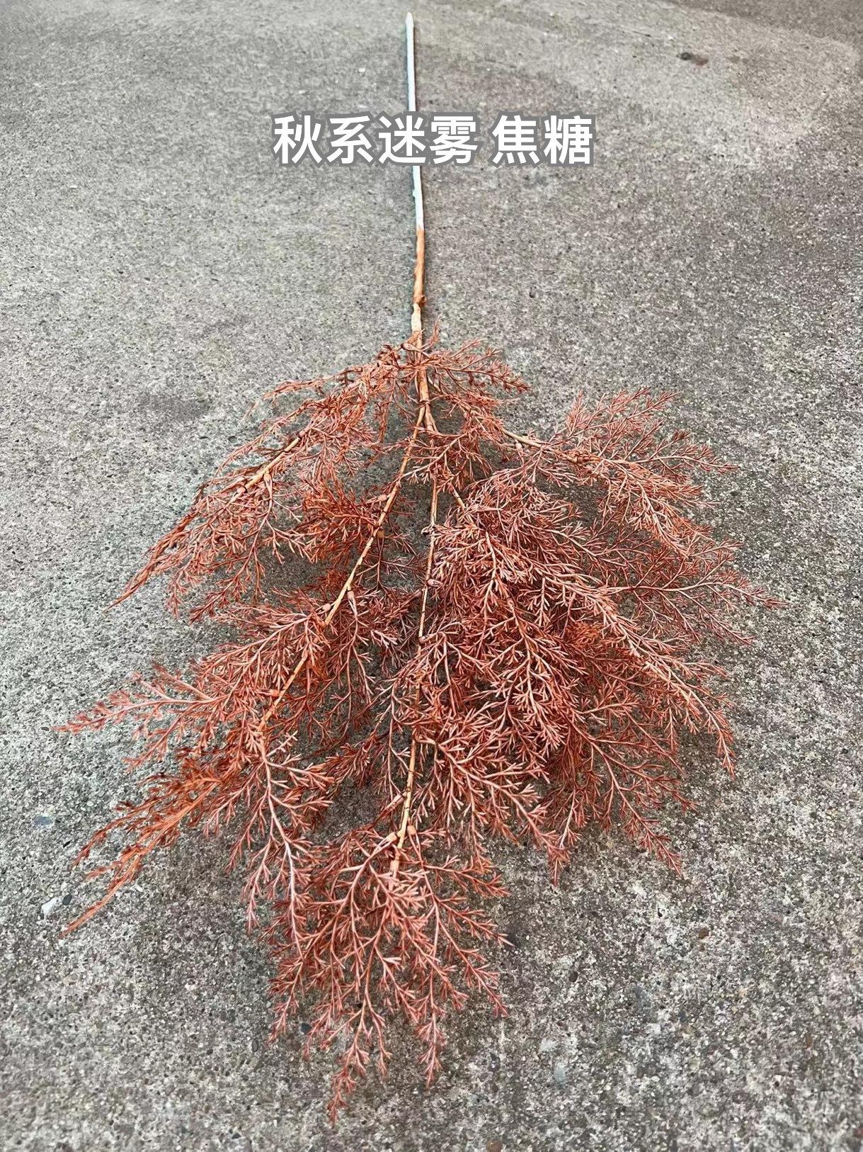 微信图片_20221106120903