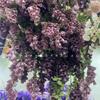 Campanilla de viento de pesca de cifrado flor de techo flor de simulación flor de glicinia decoración de salón de bodas fábrica mayorista de flores artificiales