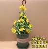 Enredaderas de Perfume Francés en Maceta, Flores Fragantes de Interior, Enredaderas Aromáticas, Plantas Trepadoras de Jazmín para Jardín, Plantas Verdes que Florecen en Todas las Estaciones