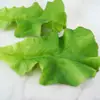 Simulación de hoja de lechuga plástico hoja de verdura verde modelo de fruta verdura falsa decoración de verdura falsa para el hogar hotel accesorios de decoración
