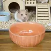 Mini Plato de Arroz para Mascotas Trepadoras Loro Hámster Oso Dorado Plato de Comida Pequeño Cerámica Especial Vajilla Pequeña