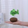 Planta Hidropónica de una Pieza para Envío Directo, Planta Trepadora Tortuga de Montaña, Planta en Maceta Dorada de Crecimiento Constante, Planta Verde, Fácil de Cultivar en Interiores, Escritorio
