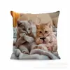 Capa de Almofada de Gato Mais Vendida da Temu para Usar com o Celular, Capa de Almofada Decorativa Fofa para Quarto de Gato, Casa, Sofá Atacado